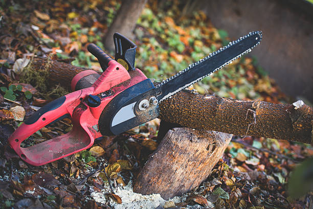 Best Lawn Maintenance Plans  in Los Angeles, CA